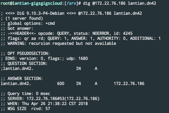 DIG Test