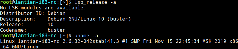Debian 10 Running on OpenVZ 6 Kernel